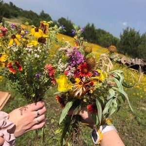 Meet your Posher, Livi